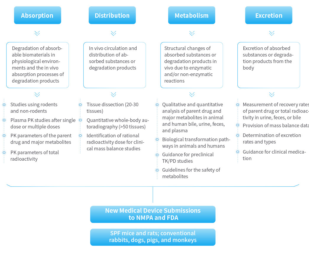 小嫩嫩小少妇BBBBBB仙踪林