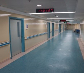 小嫩嫩小少妇BBBBBB仙踪林