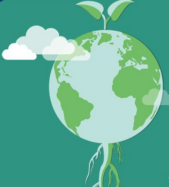 小嫩嫩小少妇BBBBBB仙踪林