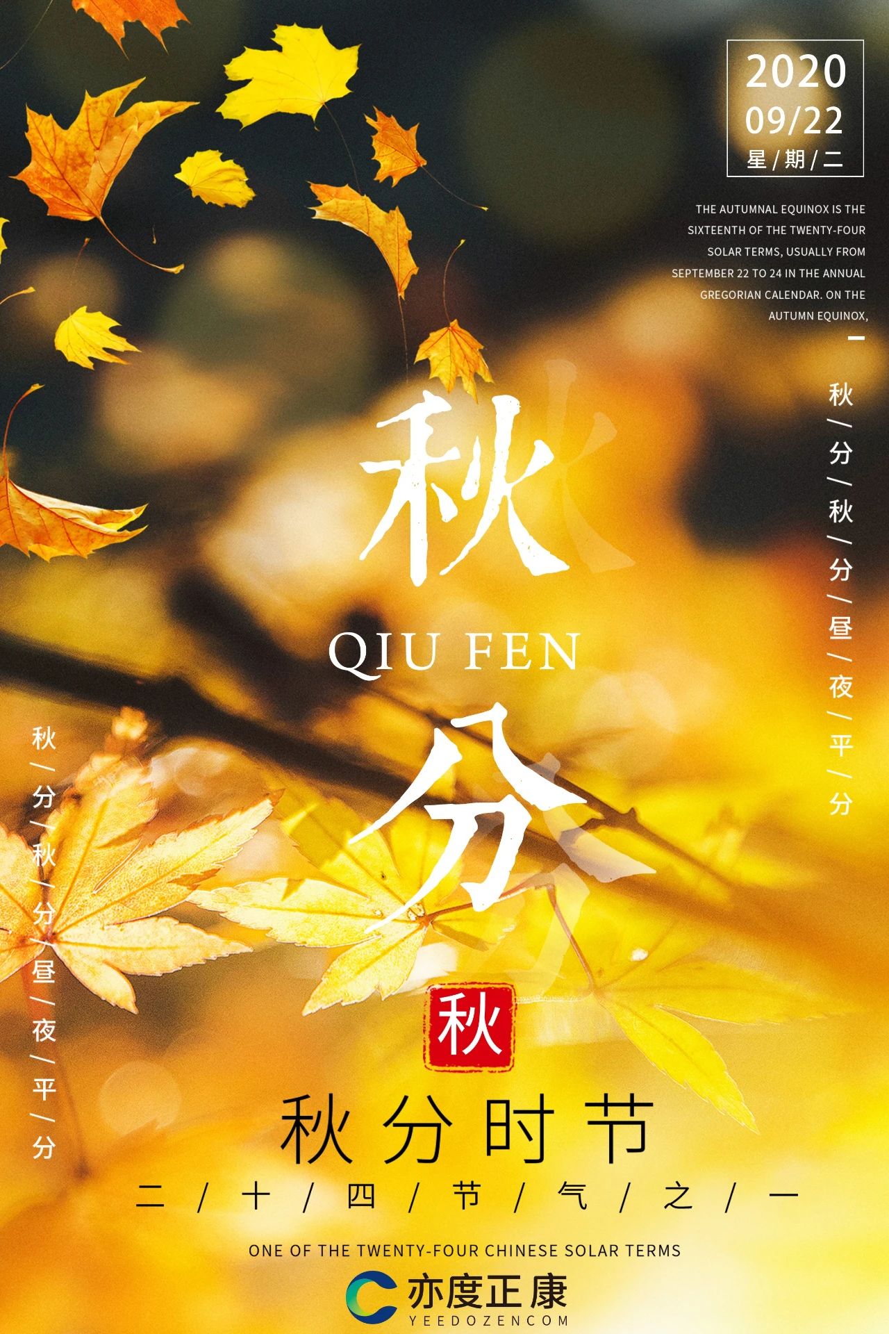 小嫩嫩小少妇BBBBBB仙踪林