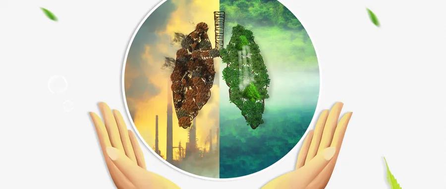 小嫩嫩小少妇BBBBBB仙踪林