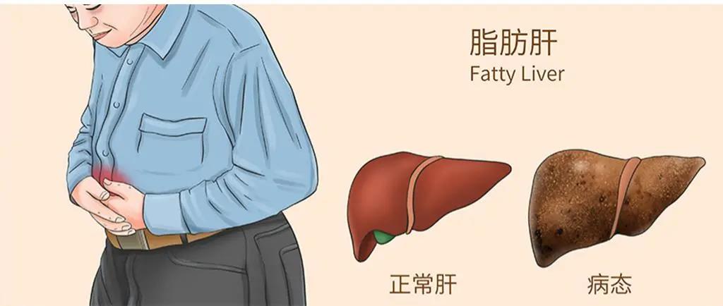 小嫩嫩小少妇BBBBBB仙踪林