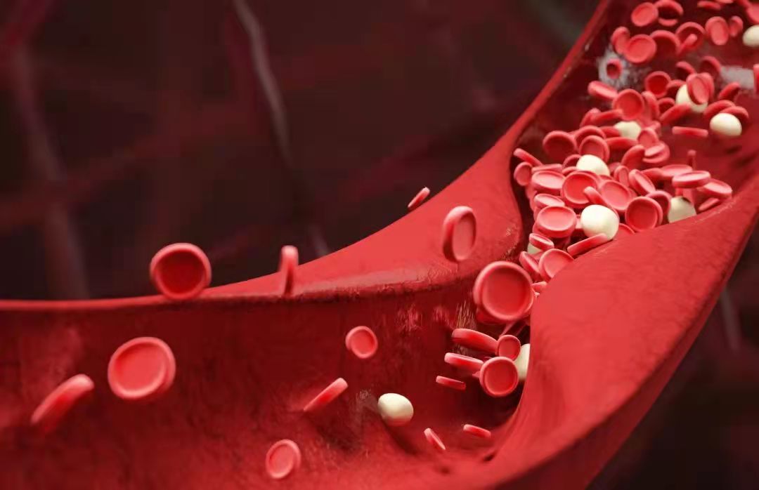 小嫩嫩小少妇BBBBBB仙踪林