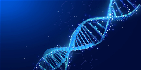 小嫩嫩小少妇BBBBBB仙踪林