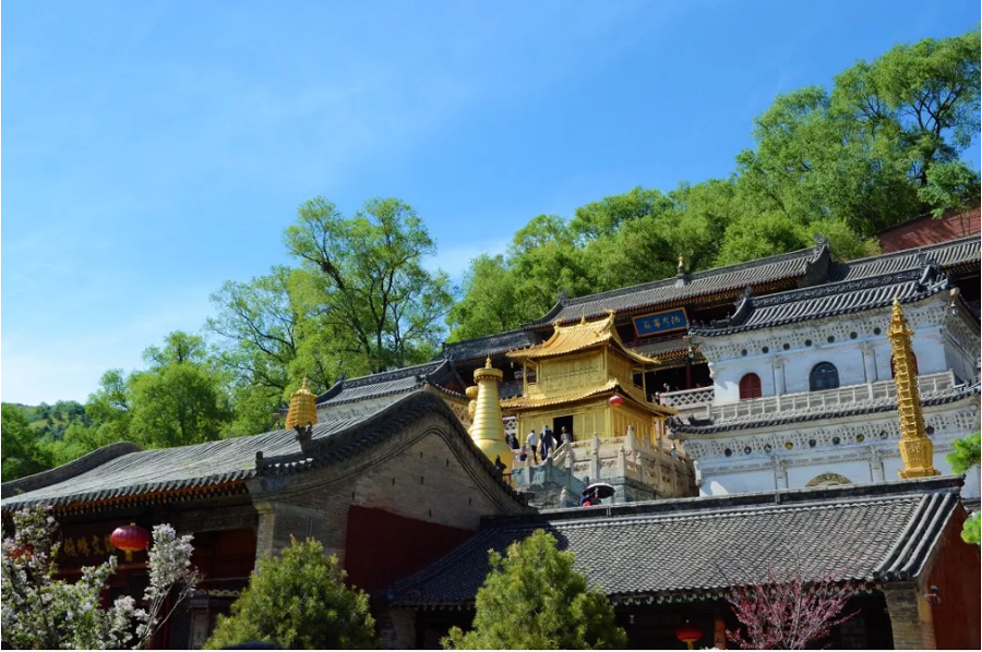 小嫩嫩小少妇BBBBBB仙踪林