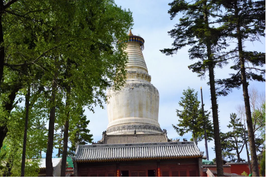 小嫩嫩小少妇BBBBBB仙踪林