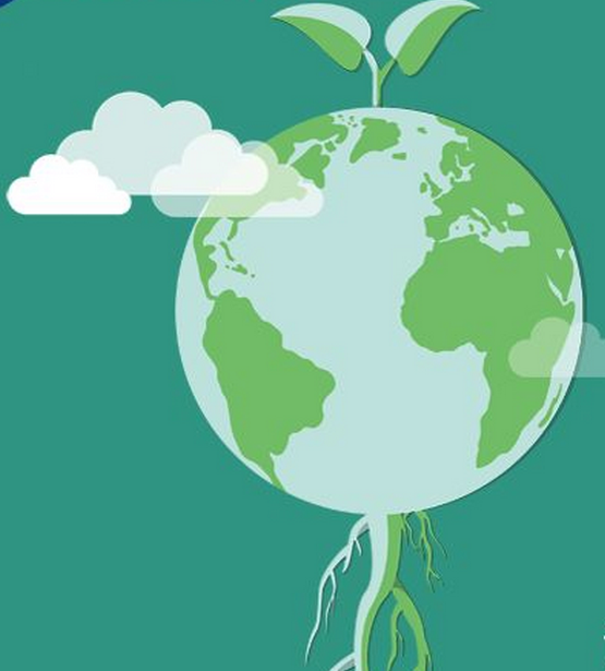 小嫩嫩小少妇BBBBBB仙踪林