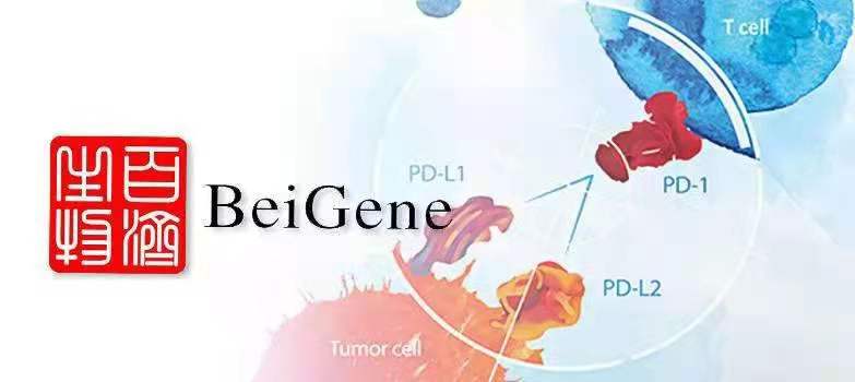 小嫩嫩小少妇BBBBBB仙踪林