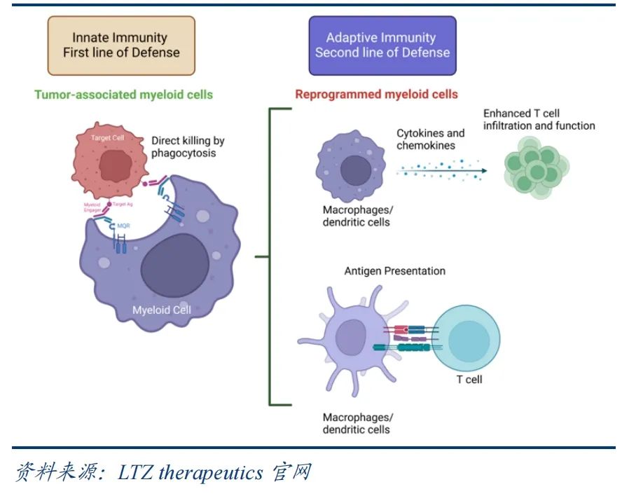 小嫩嫩小少妇BBBBBB仙踪林