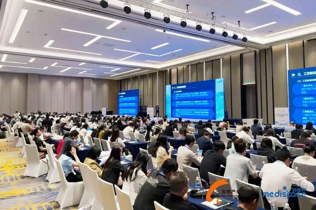 小嫩嫩小少妇BBBBBB仙踪林