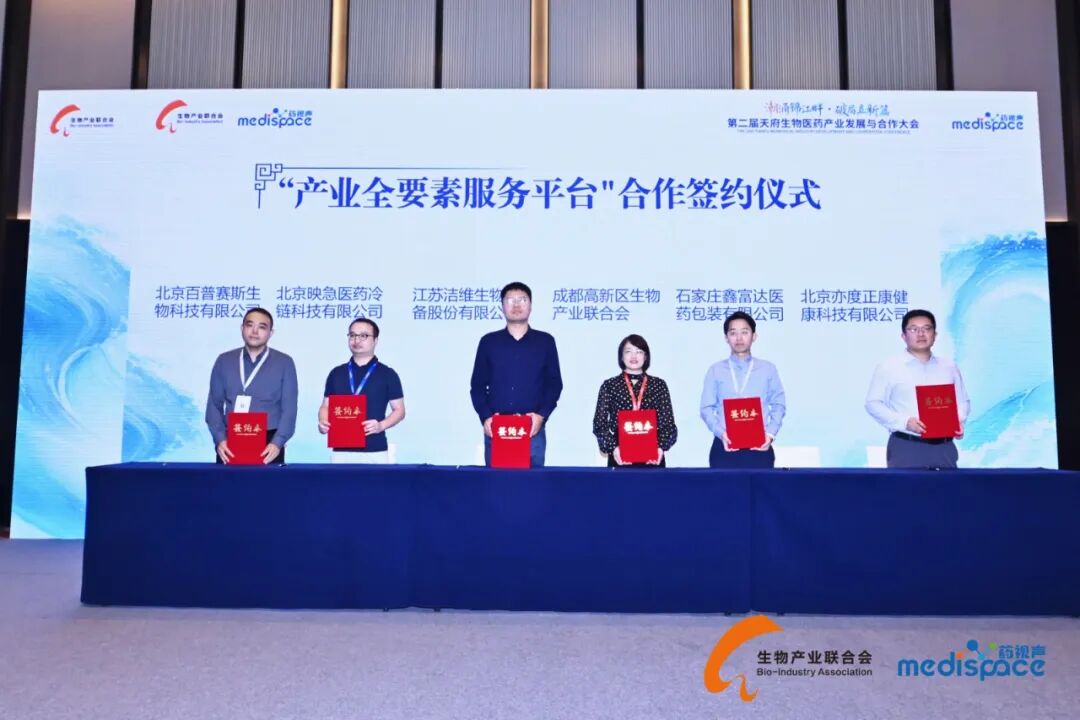 小嫩嫩小少妇BBBBBB仙踪林